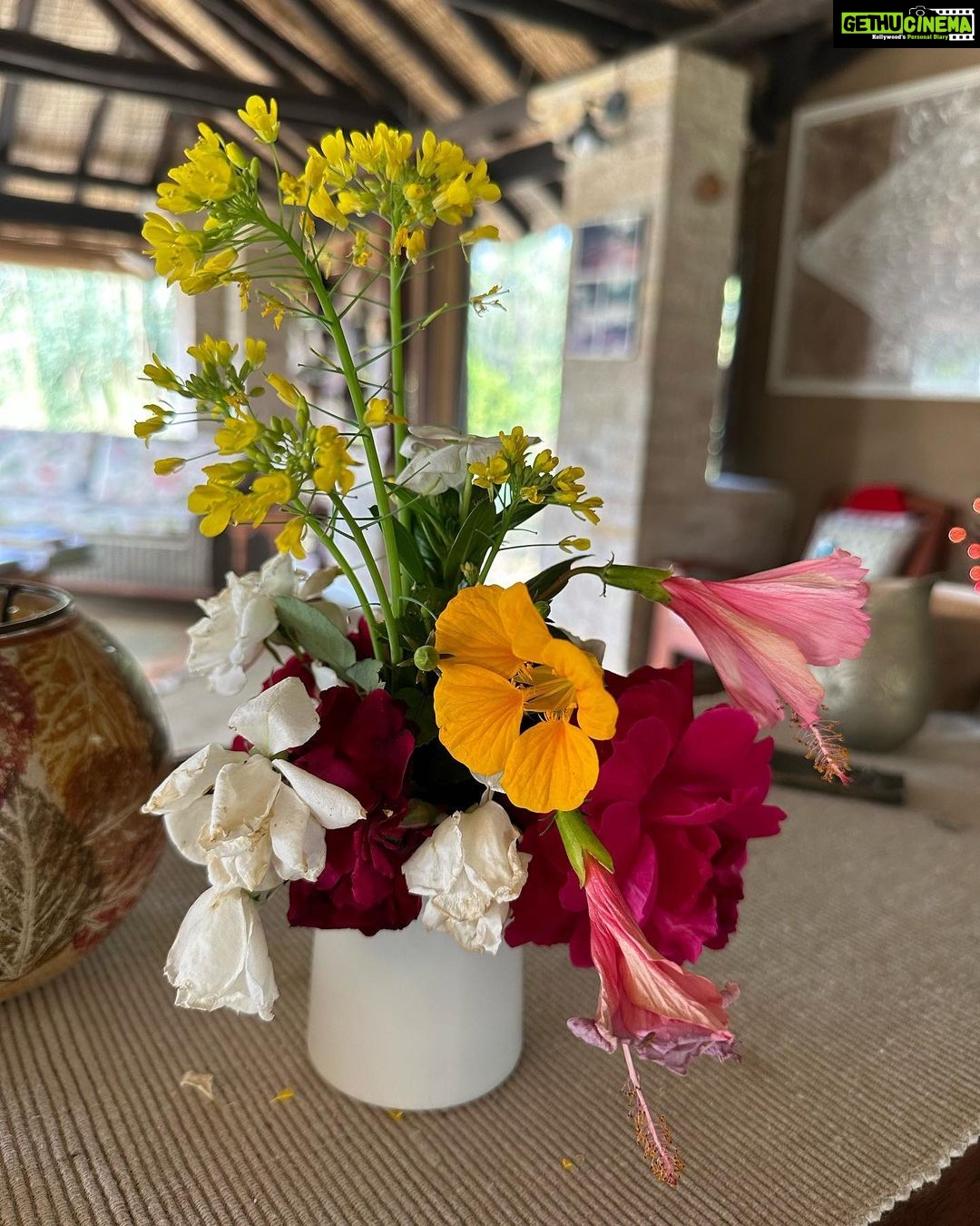 Dia Mirza Instagram - Part 1: We couldnβt have asked for a better year end! Going into the wild with those i love the most. Best best best time. Thank you Joanna and Raghu for giving us a memorable time in the wild @saraiattoria ππ―π³ We carry back with us deep and abiding impressions. The kids had the time of their lives! We will keep coming back π³π¦π Thank you #2022! You were kind and generous ππ»π» #InToTheWild #ForNature #LastPostOf2022 #SunsetKeDiVane @vaibhav.rekhi @deepamirza @theiatekchandaney @many_mumbais The Sarai at Toria