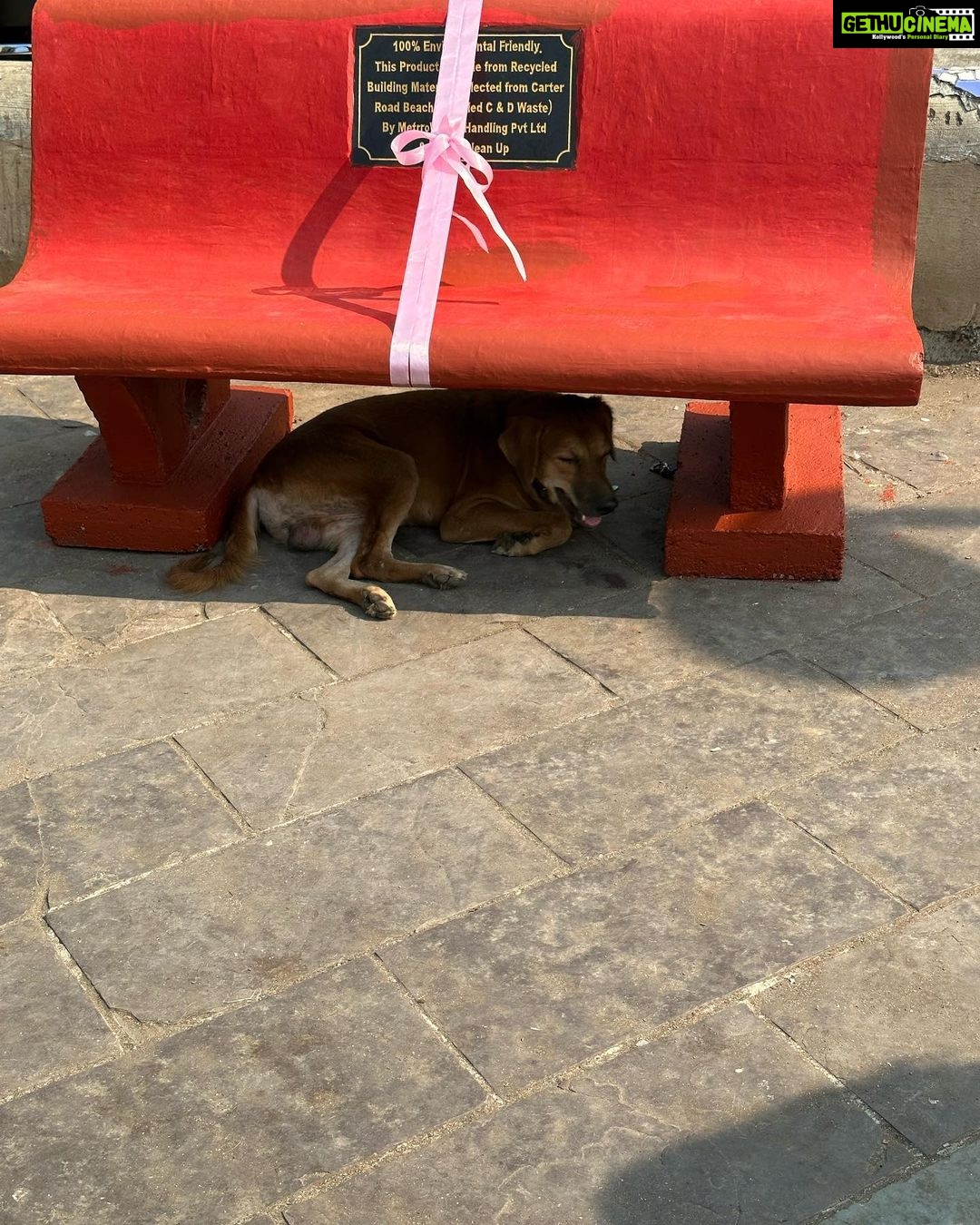 Dia Mirza Instagram - This morning was so special! I had the honour to inaugurate along with @pragyakapoor_ these benches made from 36000kgs of illegally dumped construction debris at carter beach collected by @cartercleanup over 75 weeks of clean up! A great example of citizen action to improve our environment and #CleanSeas #BeatPollution and also a perfect example of creating value from waste ππΌ The good work by this amazing citizen group @haroldf1234 @ashwin_malwade @freishia @agwl_nupur @maansiahuja will continue and everyone is welcome to join ππ― Thank you @my_bmc H Ward for all your help in facilitating this process ππ» and thank you @refillable.india for supporting this work π» #SDGs #GlobalGoals #CitizenAction #CircularEconomy #Recycle Carter Road Beach, Mumbai, India