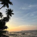 Dia Mirza Instagram – Monday mood ☀️💛🌻 #TakeMeBack @vaibhav.rekhi #SunsetKeDiVane Goa