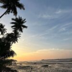 Dia Mirza Instagram - Monday mood ☀️💛🌻 #TakeMeBack @vaibhav.rekhi #SunsetKeDiVane Goa
