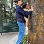 Dia Mirza Instagram - Bless you tree 🌳 thank you tree 🌏🕊️🐯♾️ A tree that has lived hundreds of years and witnessed the changes of our world, must carry so much wisdom… An entire ecosystem depends on this Deodar tree 💚 May it live on in all it’s glory! #SummerHolidays #SunsetKeDivane @vaibhav.rekhi Including this poem that Dadi wrote after she saw this post ❤️🦋 @rekhi.poonam Bless you Tree! Thank you Tree!/ So many gifts you give to me!/ Fruits and flowers, leafy shade,/ Twiggy nests in your crown laid,/ Shelter from the pouring rain/ Seeds that drop upon the plain/ Bless you Tree! Thank you Tree!/ You’re a true friend I can see! Landour, Mussoorie