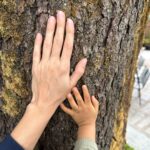 Dia Mirza Instagram - Bless you tree 🌳 thank you tree 🌏🕊️🐯♾️ A tree that has lived hundreds of years and witnessed the changes of our world, must carry so much wisdom… An entire ecosystem depends on this Deodar tree 💚 May it live on in all it’s glory! #SummerHolidays #SunsetKeDivane @vaibhav.rekhi Including this poem that Dadi wrote after she saw this post ❤️🦋 @rekhi.poonam Bless you Tree! Thank you Tree!/ So many gifts you give to me!/ Fruits and flowers, leafy shade,/ Twiggy nests in your crown laid,/ Shelter from the pouring rain/ Seeds that drop upon the plain/ Bless you Tree! Thank you Tree!/ You’re a true friend I can see! Landour, Mussoorie