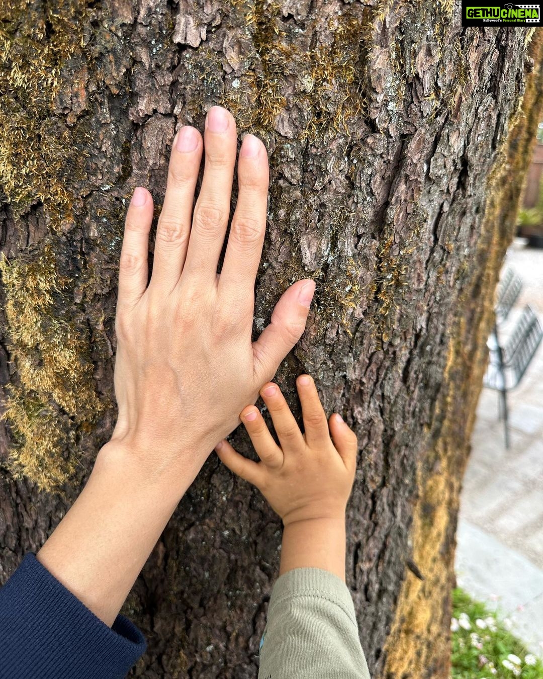 Dia Mirza Instagram - Bless you tree 🌳 thank you tree 🌏🕊️🐯♾️ A tree that has lived hundreds of years and witnessed the changes of our world, must carry so much wisdom… An entire ecosystem depends on this Deodar tree 💚 May it live on in all it’s glory! #SummerHolidays #SunsetKeDivane @vaibhav.rekhi Including this poem that Dadi wrote after she saw this post ❤️🦋 @rekhi.poonam Bless you Tree! Thank you Tree!/ So many gifts you give to me!/ Fruits and flowers, leafy shade,/ Twiggy nests in your crown laid,/ Shelter from the pouring rain/ Seeds that drop upon the plain/ Bless you Tree! Thank you Tree!/ You’re a true friend I can see! Landour, Mussoorie