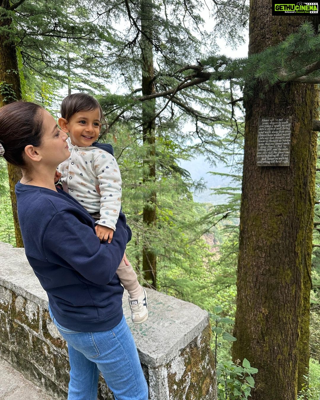 Dia Mirza Instagram - Bless you tree 🌳 thank you tree 🌏🕊️🐯♾️ A tree that has lived hundreds of years and witnessed the changes of our world, must carry so much wisdom… An entire ecosystem depends on this Deodar tree 💚 May it live on in all it’s glory! #SummerHolidays #SunsetKeDivane @vaibhav.rekhi Including this poem that Dadi wrote after she saw this post ❤️🦋 @rekhi.poonam Bless you Tree! Thank you Tree!/ So many gifts you give to me!/ Fruits and flowers, leafy shade,/ Twiggy nests in your crown laid,/ Shelter from the pouring rain/ Seeds that drop upon the plain/ Bless you Tree! Thank you Tree!/ You’re a true friend I can see! Landour, Mussoorie