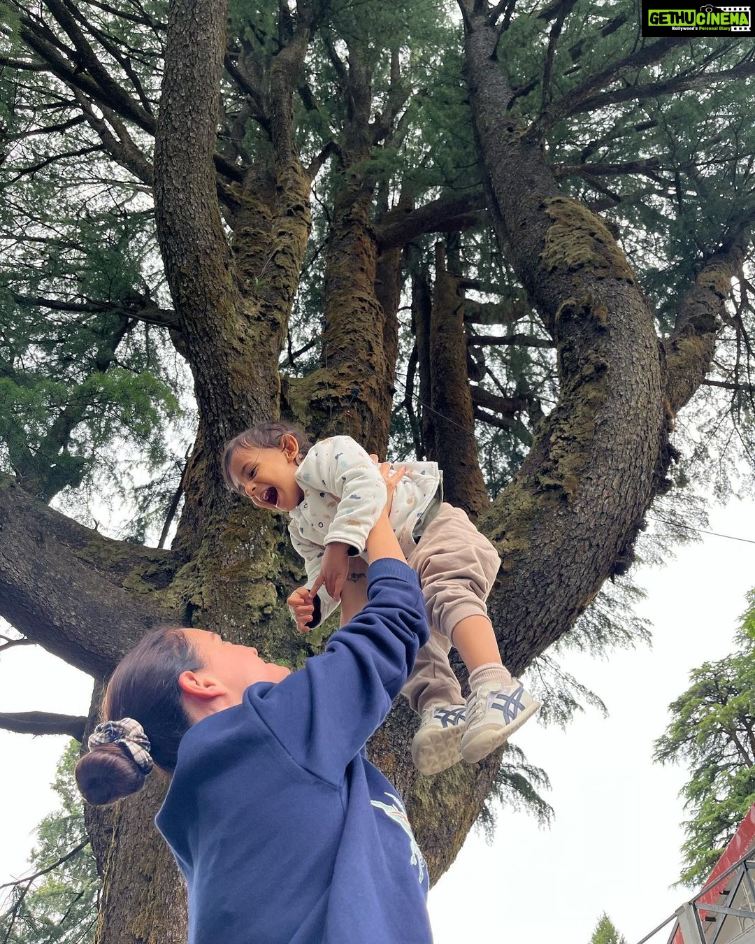 Dia Mirza Instagram - Bless you tree 🌳 thank you tree 🌏🕊️🐯♾️ A tree that has lived hundreds of years and witnessed the changes of our world, must carry so much wisdom… An entire ecosystem depends on this Deodar tree 💚 May it live on in all it’s glory! #SummerHolidays #SunsetKeDivane @vaibhav.rekhi Including this poem that Dadi wrote after she saw this post ❤️🦋 @rekhi.poonam Bless you Tree! Thank you Tree!/ So many gifts you give to me!/ Fruits and flowers, leafy shade,/ Twiggy nests in your crown laid,/ Shelter from the pouring rain/ Seeds that drop upon the plain/ Bless you Tree! Thank you Tree!/ You’re a true friend I can see! Landour, Mussoorie