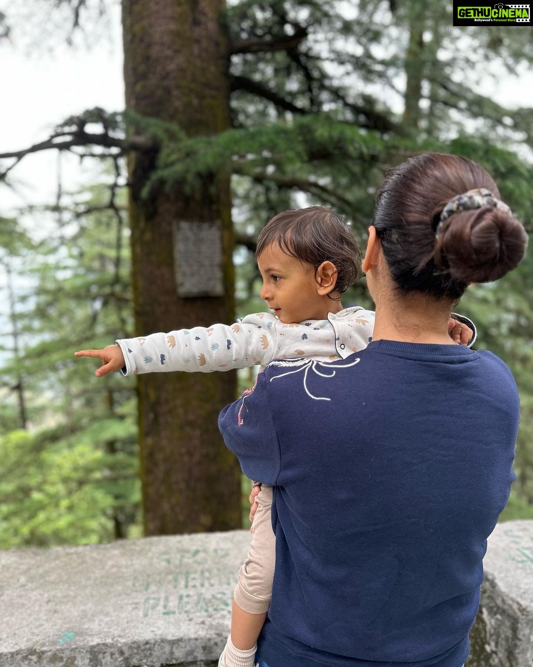 Dia Mirza Instagram - Bless you tree 🌳 thank you tree 🌏🕊️🐯♾️ A tree that has lived hundreds of years and witnessed the changes of our world, must carry so much wisdom… An entire ecosystem depends on this Deodar tree 💚 May it live on in all it’s glory! #SummerHolidays #SunsetKeDivane @vaibhav.rekhi Including this poem that Dadi wrote after she saw this post ❤️🦋 @rekhi.poonam Bless you Tree! Thank you Tree!/ So many gifts you give to me!/ Fruits and flowers, leafy shade,/ Twiggy nests in your crown laid,/ Shelter from the pouring rain/ Seeds that drop upon the plain/ Bless you Tree! Thank you Tree!/ You’re a true friend I can see! Landour, Mussoorie