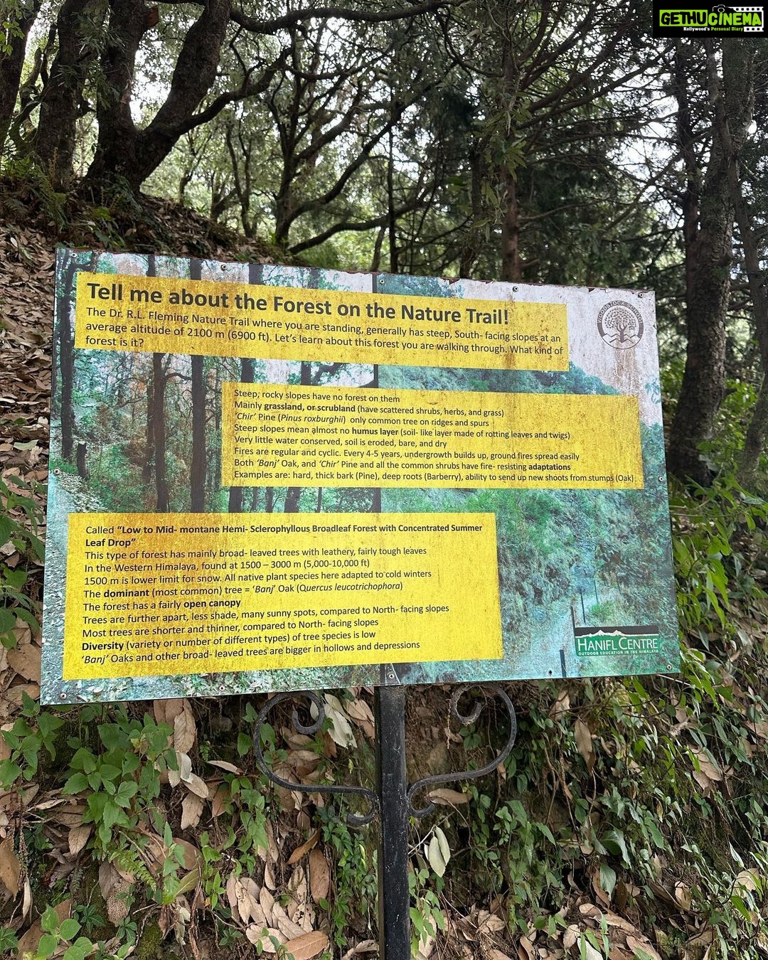 Dia Mirza Instagram - We spent the last few days in #Landour taking walks in the forest, listening to the stridulation of cicadas, watching birds, monkeys and learning about flora and fauna with @purisahib ππ¦πποΈπ The kids had such an amazing time!!! Nothing feels better than being in nature. #SummerHolidays done right β
Thank you @the_fern_cottage @purisahib and @piyukapoor for the magic π #SunsetKeDiVane @vaibhav.rekhi Landour, Mussoorie
