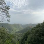 Dia Mirza Instagram - We spent the last few days in #Landour taking walks in the forest, listening to the stridulation of cicadas, watching birds, monkeys and learning about flora and fauna with @purisahib 😍🦋💙🕊️🌏 The kids had such an amazing time!!! Nothing feels better than being in nature. #SummerHolidays done right ✅ Thank you @the_fern_cottage @purisahib and @piyukapoor for the magic 🌟 #SunsetKeDiVane @vaibhav.rekhi Landour, Mussoorie