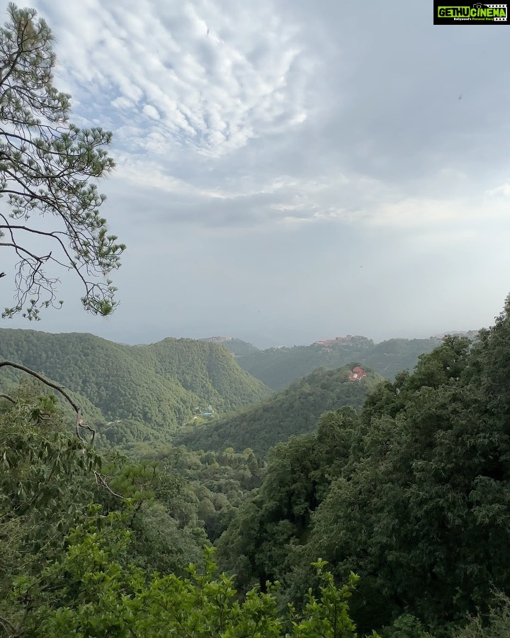 Dia Mirza Instagram - We spent the last few days in #Landour taking walks in the forest, listening to the stridulation of cicadas, watching birds, monkeys and learning about flora and fauna with @purisahib ππ¦πποΈπ The kids had such an amazing time!!! Nothing feels better than being in nature. #SummerHolidays done right β
Thank you @the_fern_cottage @purisahib and @piyukapoor for the magic π #SunsetKeDiVane @vaibhav.rekhi Landour, Mussoorie