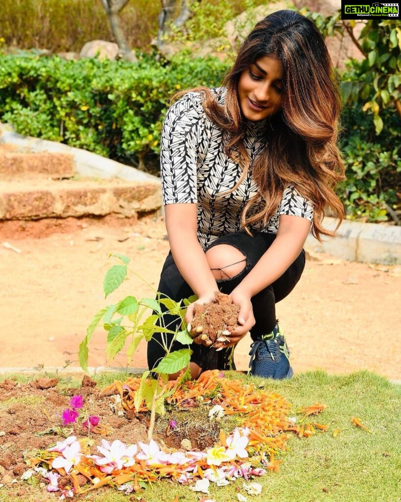 Dimple Hayathi Instagram - I've accepted #HaraHaiTohBharaHai #GreenindiaChallenge from @MPsantoshtrs Planted 3 saplings. Further I am nominating @raviteja_2628 @dirrameshvarma @thisisdsp @meenakshichaudhary006 to plant 3 trees & continue the chain special thanks to Santosh garu for taking this initiative. #dimplehayathi