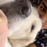 Dimple Hayathi Instagram - 🧿🧿🧿🧿🧿🧿I love you 🥰 booboo my #chinnibinni he is nazar math Rako 🧿🧿🧿🧿🧿🧿