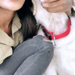 Dimple Hayathi Instagram - Hahhaha @bageerah_the_retriver my cute patootie