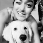 Dimple Hayathi Instagram - Our series continue.. @bageerah_the_retriver #quarantine #partnerincrime #whereeveryougoifollow #goldenretriever