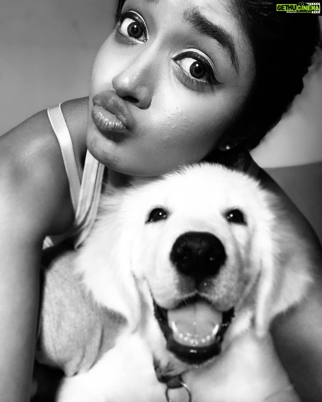 Dimple Hayathi Instagram - My quarantine lifepartner my son .. @bageerah_the_retriver 😍 #stayhome #staysafe #quarantine #lifepartner #love #pup #goldenretriever