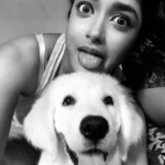 Dimple Hayathi Instagram - My quarantine lifepartner my son .. @bageerah_the_retriver 😍 #stayhome #staysafe #quarantine #lifepartner #love #pup #goldenretriever