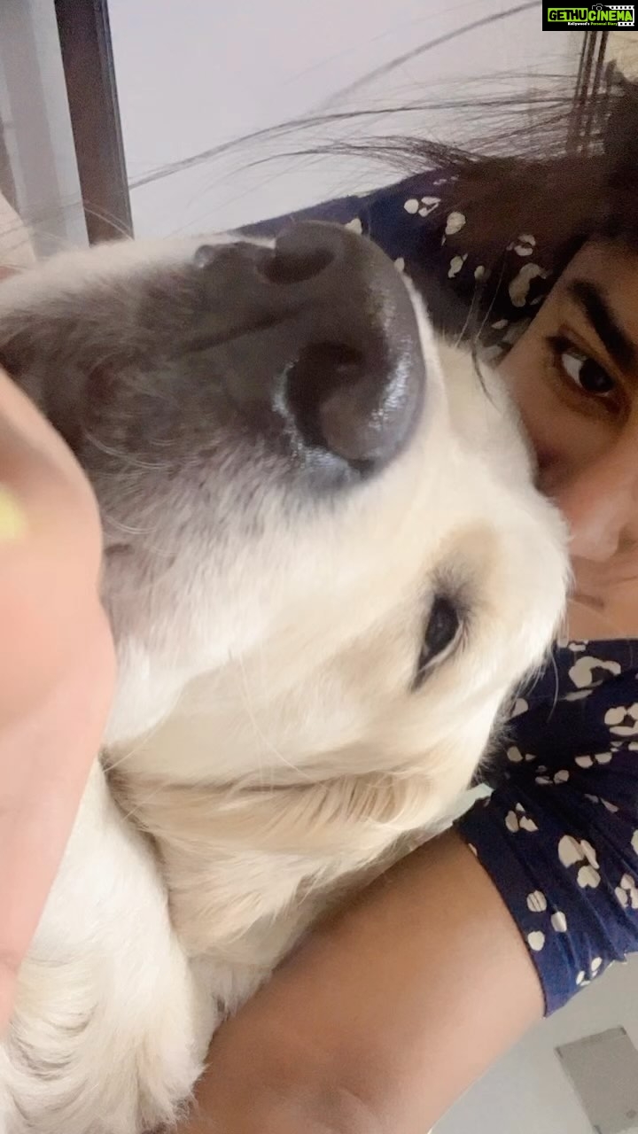 Dimple Hayathi Instagram - 🧿🧿🧿🧿🧿🧿I love you 🥰 booboo my #chinnibinni he is nazar math Rako 🧿🧿🧿🧿🧿🧿