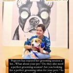 Ditipriya Roy Instagram - Let’s see what our super-star @roy_ditipriya has to say about her grooming experiences with us . Popcorn the cutest fur baby had her premium spa at @krosspaws_official and we are so happy to have you Popcorn and your Pawrent @roy_ditipriya ! This Diwali give your furries the best spa experience in town with our wide range of grooming products only at @krosspaws_official . . . #dog #doggrooming #petgrooming #petessentials #beagle #dogsofinstagram #cute #puppy #celebrity #kolkata #diwali #popcorn #krosspaws KrossPaaws