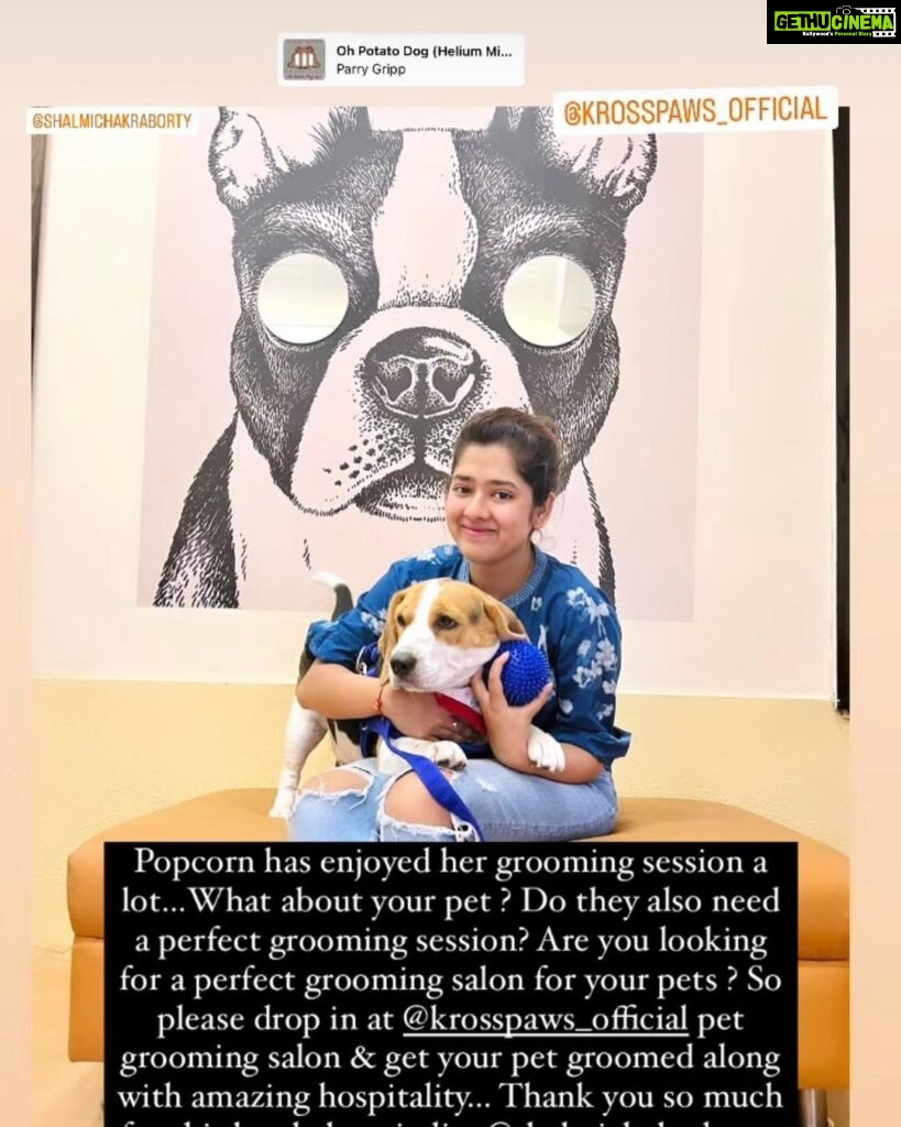 Ditipriya Roy Instagram - Let’s see what our super-star @roy_ditipriya has to say about her grooming experiences with us . Popcorn the cutest fur baby had her premium spa at @krosspaws_official and we are so happy to have you Popcorn and your Pawrent @roy_ditipriya ! This Diwali give your furries the best spa experience in town with our wide range of grooming products only at @krosspaws_official . . . #dog #doggrooming #petgrooming #petessentials #beagle #dogsofinstagram #cute #puppy #celebrity #kolkata #diwali #popcorn #krosspaws KrossPaaws