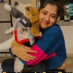 Ditipriya Roy Instagram - A happy day with the happiest baby at @krosspaws_official ! It gives us confidence when the young superstar of Tollywood chooses @krosspaws_official for her baby Popcorn for her pampering again and again. ❤️ Thanks @roy_ditipriya for trusting Krosspaaws 😌. . . #dog #reels #réel #dogsofinstagram #trending #dogs #beagle #celebrity #tollywood #kolkata #kolkatadiaries #kolkatabuzz #grooming #doggrooming #cute #kolkatareels #pamper #reelsinstagram #instagram #kolkatainstagrammers #reelindia KrossPaaws