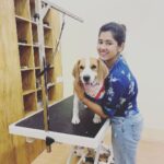 Ditipriya Roy Instagram - Let’s see what our super-star @roy_ditipriya has to say about her grooming experiences with us . Popcorn the cutest fur baby had her premium spa at @krosspaws_official and we are so happy to have you Popcorn and your Pawrent @roy_ditipriya ! This Diwali give your furries the best spa experience in town with our wide range of grooming products only at @krosspaws_official . . . #dog #doggrooming #petgrooming #petessentials #beagle #dogsofinstagram #cute #puppy #celebrity #kolkata #diwali #popcorn #krosspaws KrossPaaws