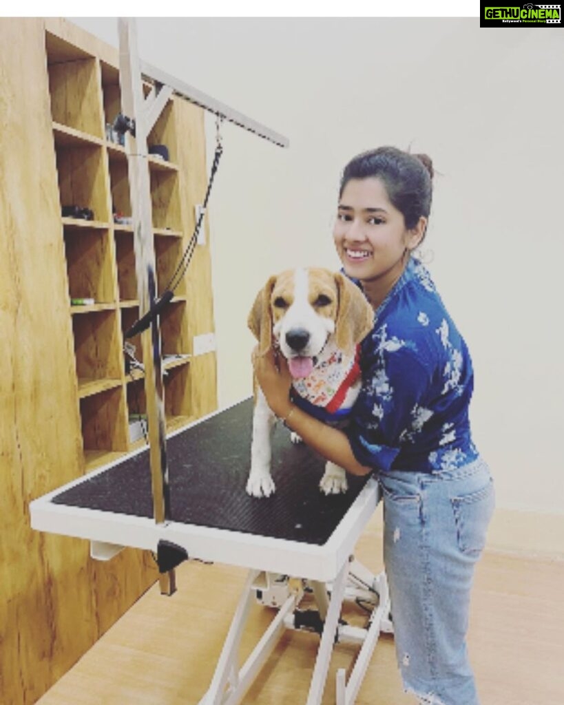 Ditipriya Roy Instagram - Let’s see what our super-star @roy_ditipriya has to say about her grooming experiences with us . Popcorn the cutest fur baby had her premium spa at @krosspaws_official and we are so happy to have you Popcorn and your Pawrent @roy_ditipriya ! This Diwali give your furries the best spa experience in town with our wide range of grooming products only at @krosspaws_official . . . #dog #doggrooming #petgrooming #petessentials #beagle #dogsofinstagram #cute #puppy #celebrity #kolkata #diwali #popcorn #krosspaws KrossPaaws