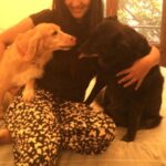 Divya Spandana Instagram - You live on my sweet girl, Brandy. You’re pure love.