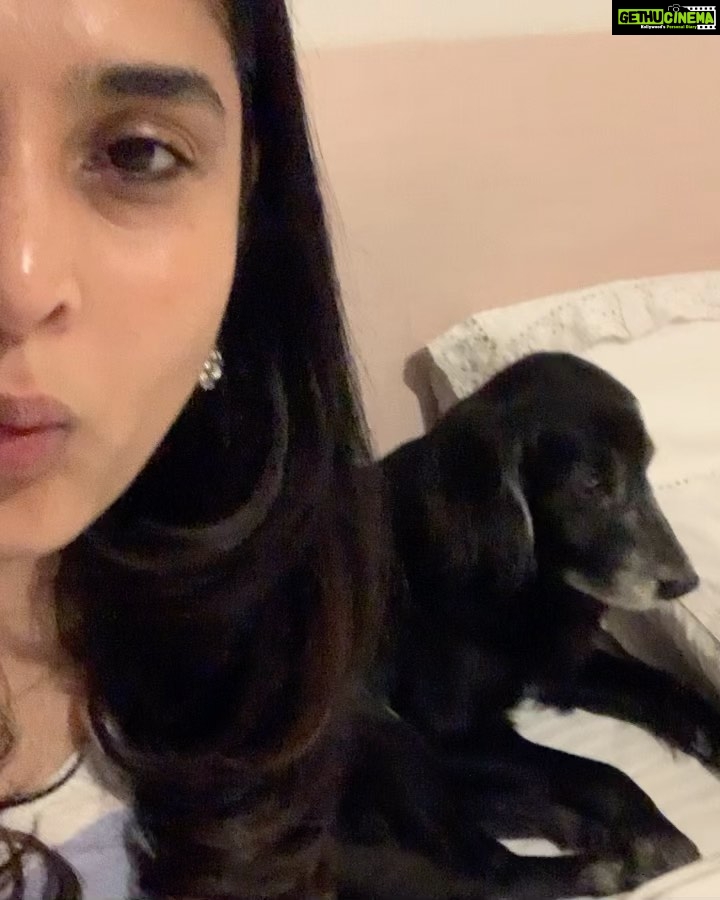 Divya Spandana Instagram - ππ For all those reminding me- Yes, I forgot about the audio!π but you all know what a whistle sounds like. Whistle along with me π I was trying to get Champβs attention, but he no care! π€ͺ