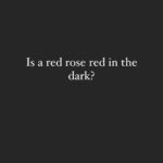 Divya Spandana Instagram – I’m curious to know what you think. Is a red rose red in the dark? 
Let me know!