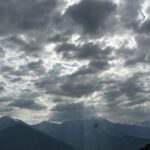 Divyansha Kaushik Instagram – Another little dump that never made it to the gram 🍀🪵