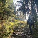 Divyansha Kaushik Instagram - Sorry was MIA. Here’s why! Manali