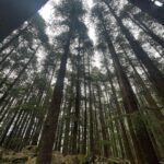 Divyansha Kaushik Instagram - Sorry was MIA. Here’s why! Manali