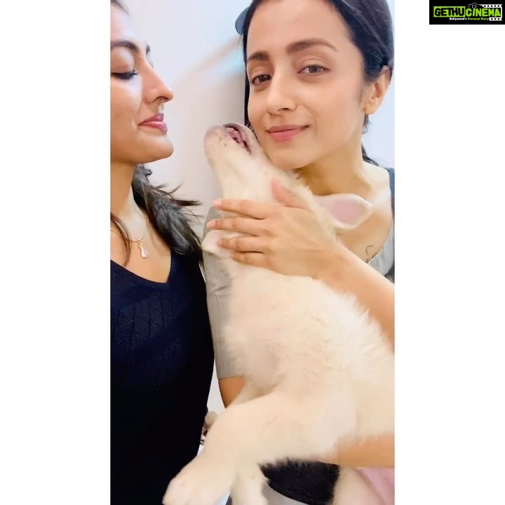 Durga Krishna Instagram - Oh my God.. She is sooo simple, cute,lovable... @dudette583 you’re beautiful, from the tips of your toes to the depths of your soul.. Thank you so much ♥️ mmuaah.. love you 😍 @iam_bebu_ his new friend is pawsome 🥰