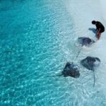 Elena Roxana Maria Fernandes Instagram - Left my heart by the sea! . . . . #sea #heart #happy #stingray #beach #sand #blue #deep #beauty #heaven #paradise #ootd #retreat #leisure #travel #slay #forever #maldives #island #maldivesislands