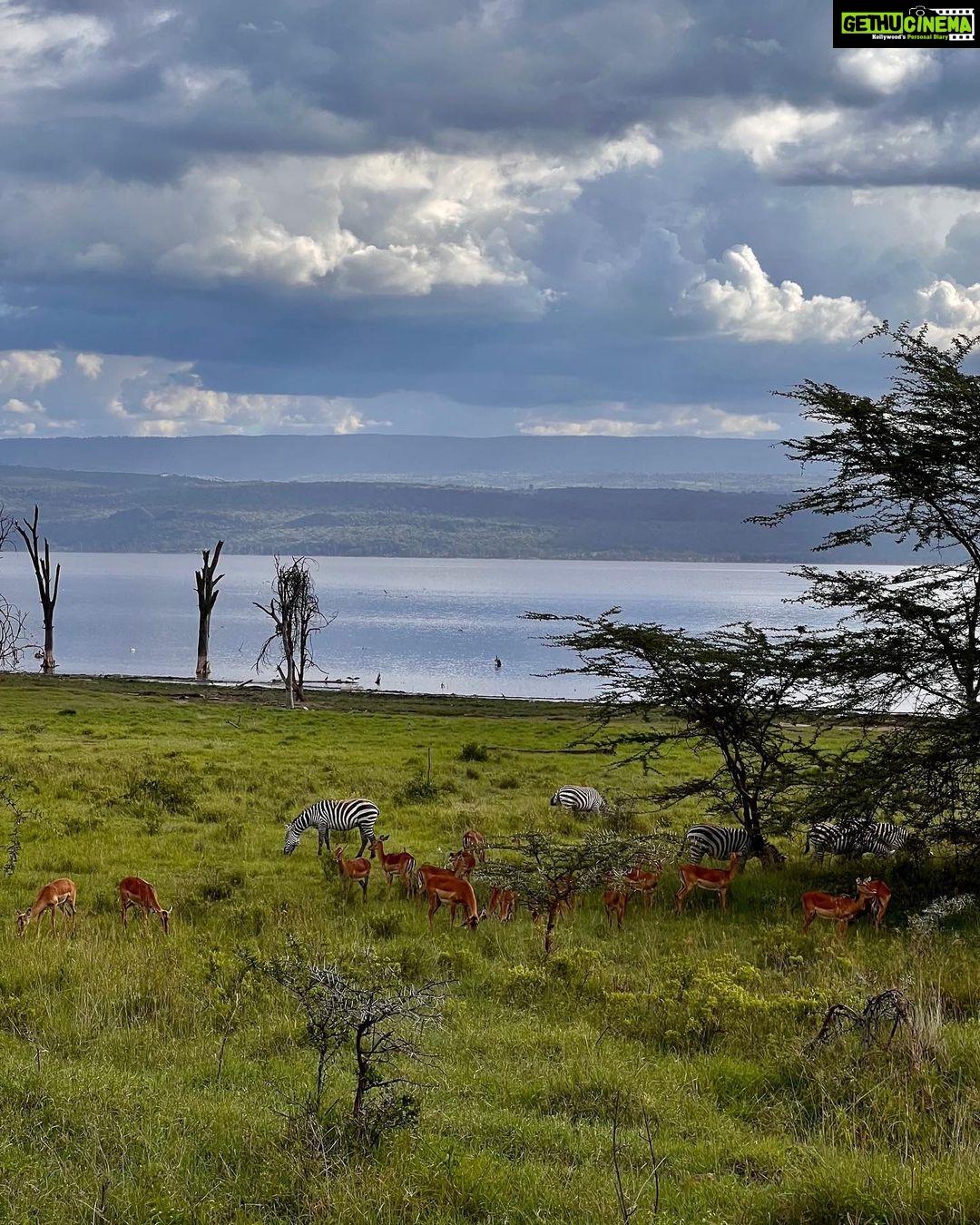 Actress Elena Roxana Maria Fernandes HD Instagram Photos and Wallpapers ...