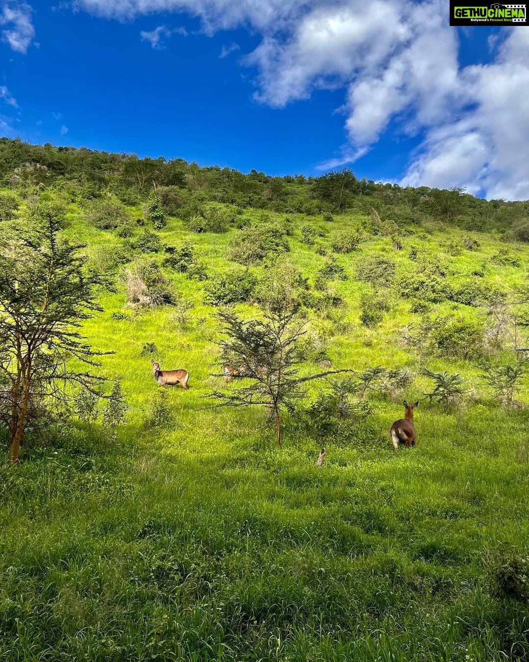 Actress Elena Roxana Maria Fernandes HD Instagram Photos and Wallpapers ...