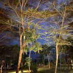 Elena Roxana Maria Fernandes Instagram - An evening spent well at the Sarova Lion Hill Lodge @sarova_hotels in Lake Nakuru National Park. A wonderful trip hosted by @visitafricaltd and @mauayako. Simply mesmerised by the beauty that this country has to offer. More on the amazing vacation soon! . . . #visitafrica #39yearsofsafari #lakenakurunationalpark #lakenakuru #kenya #sarovahotels #sarovahotelskenya #beauty #beautiful #safari #nature #wildlife #animals #nationalpark #travel #traveldiaries #travelwithelena #vacation #stay #hotel #fun #travelinstyle