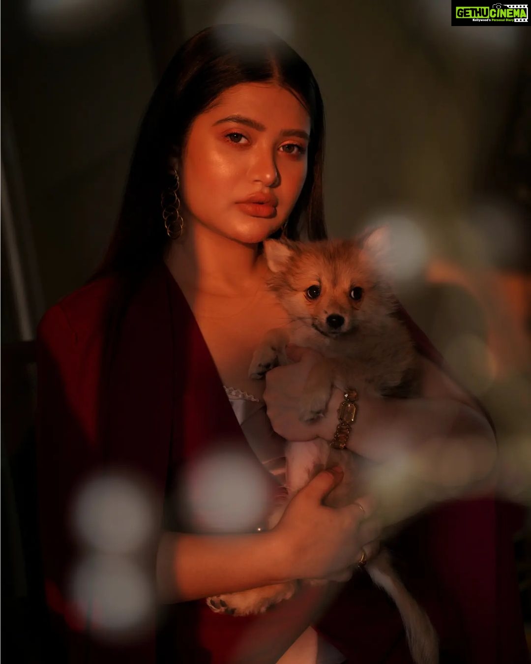 Ena Saha Instagram - How You Love Yourself Is How You Teach Others To Love You... . . . Photography @the_vagabong_creator #enasaha #photooftheday #photoshoot #actress #brown #dress #trending #statement #tollywood #tollywoodonline #outfitoftheday #actorslife #puppy #dog #dogsofinstagram #home #sunset #light #explorepage #explore #nationalpuppyday #t2puparazzi