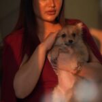 Ena Saha Instagram - I was lost within the darkness, but then I found her... . . . #enasaha #actorslife #actress #celebrity #statement #tollywood #tollywoodonline #photooftheday #maroon #dress #fashion #fashionstyle #dog #puppy