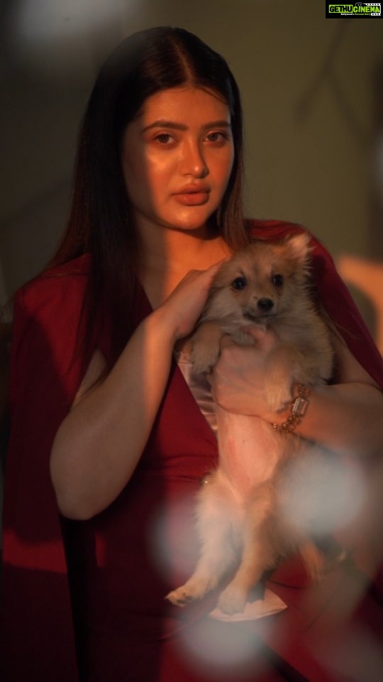 Ena Saha Instagram - I was lost within the darkness, but then I found her... . . . #enasaha #actorslife #actress #celebrity #statement #tollywood #tollywoodonline #photooftheday #maroon #dress #fashion #fashionstyle #dog #puppy