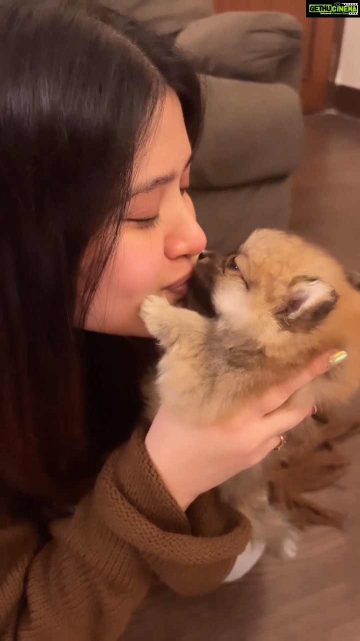 Ena Saha Instagram - Some playtime with the kids are the best time I have … #dream and #luck grab my attention… #explore #enasaha #peace #dogsofinstagram #doggos #babies