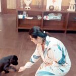 Ena Saha Instagram - Sharing a momen with my baby HOPE…. #love #pet #baby #training #hope #explore #enasaha #play #animals #favorite #furbaby #cuddle
