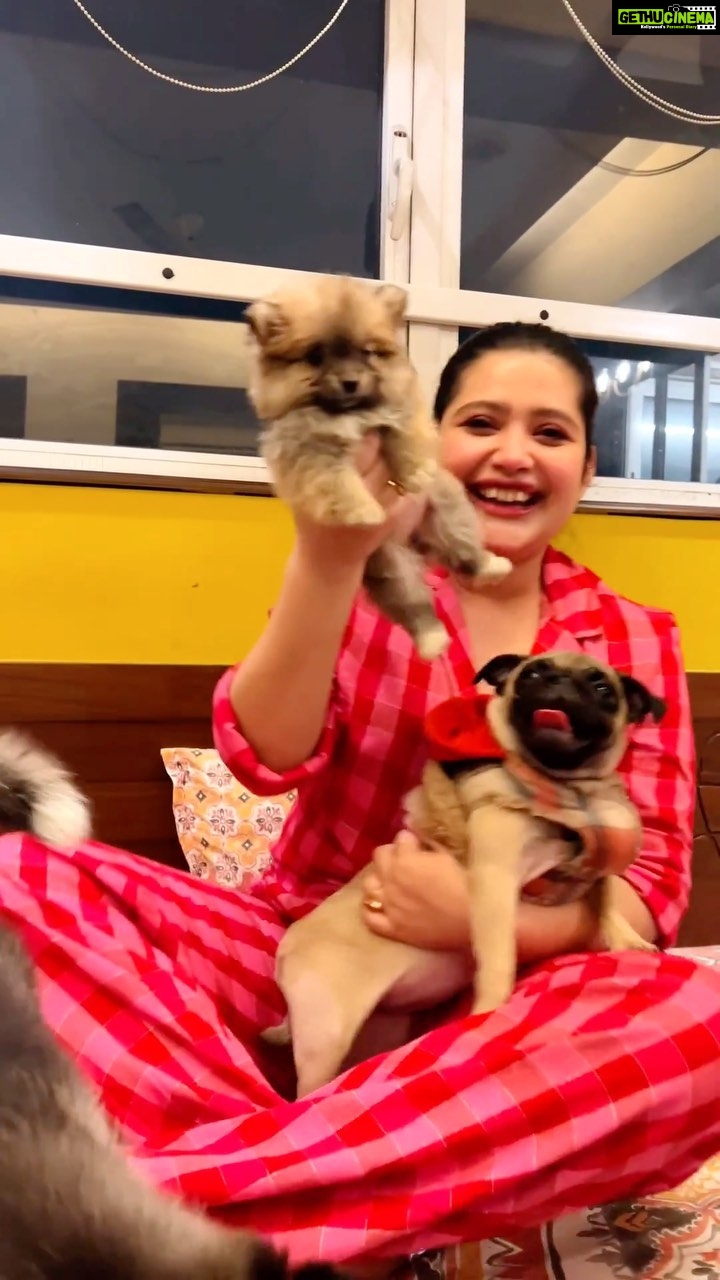 Ena Saha Instagram - Let me introduce you to my babies. Now my life is filled with peace, love, true, dream, luck, believe and hope. Say Hi Everybody 😍❤️🧿🕊️ @arya_dasguptaa helping me with the camera 🌸 #doggo #furbabies #doglove #peace #hope #puppies #adorable #petlover #instadogs #explore #enasaha #puppy #puppylove #family