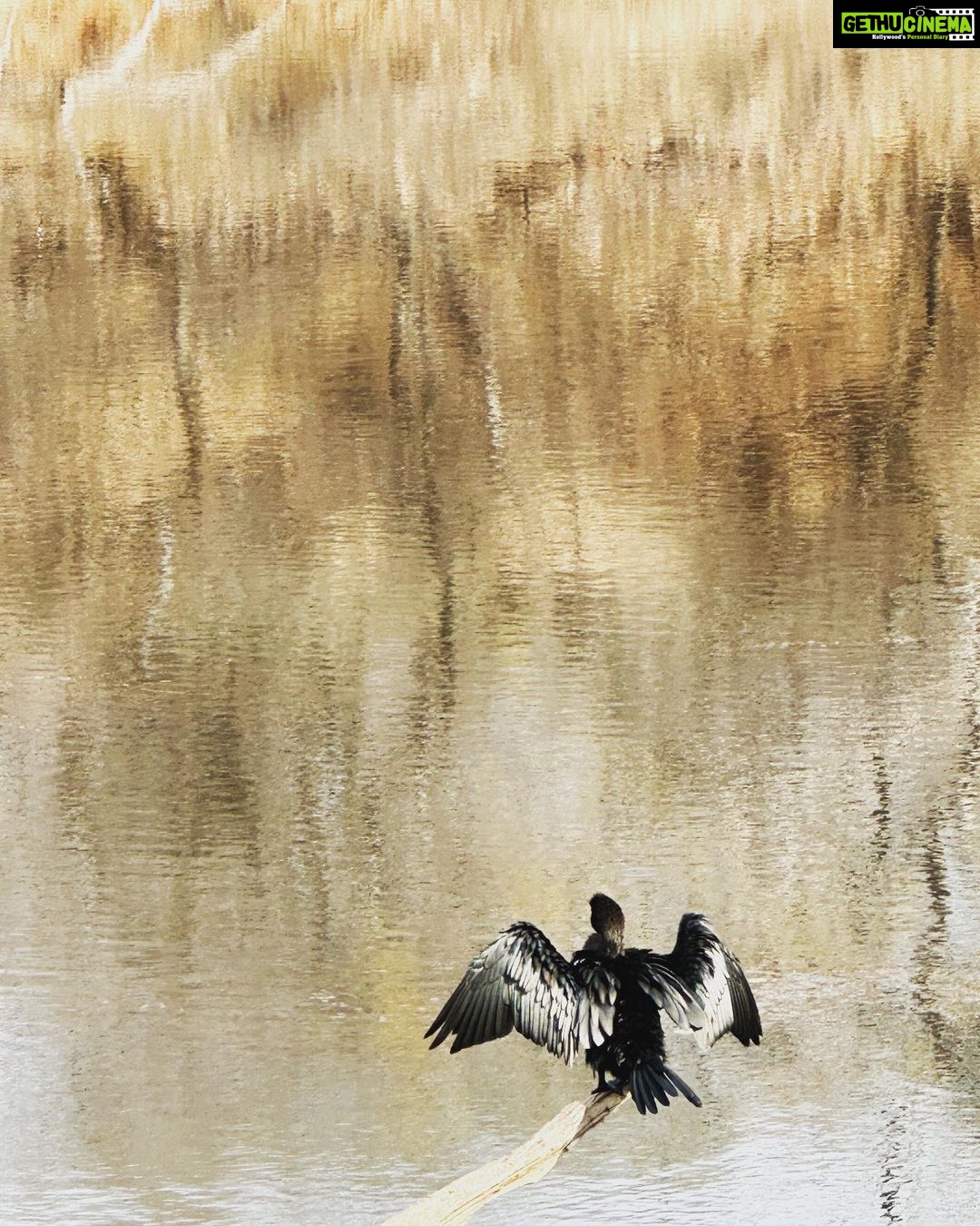 Farhan Akhtar Instagram - Painting a watercolour photograph. #rajasthan #ranthambore #nature #wildlife #nofilter