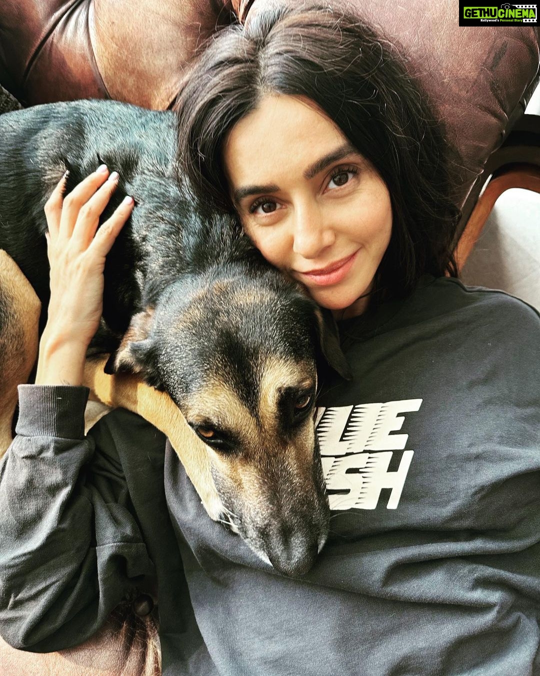 Farhan Akhtar Instagram - Take it easy policy .. #dog #doglovers #indie