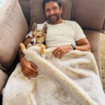 Farhan Akhtar Instagram - Someone is taking Sunday siesta very seriously. 😜 #tystagram #dogsarethebest
