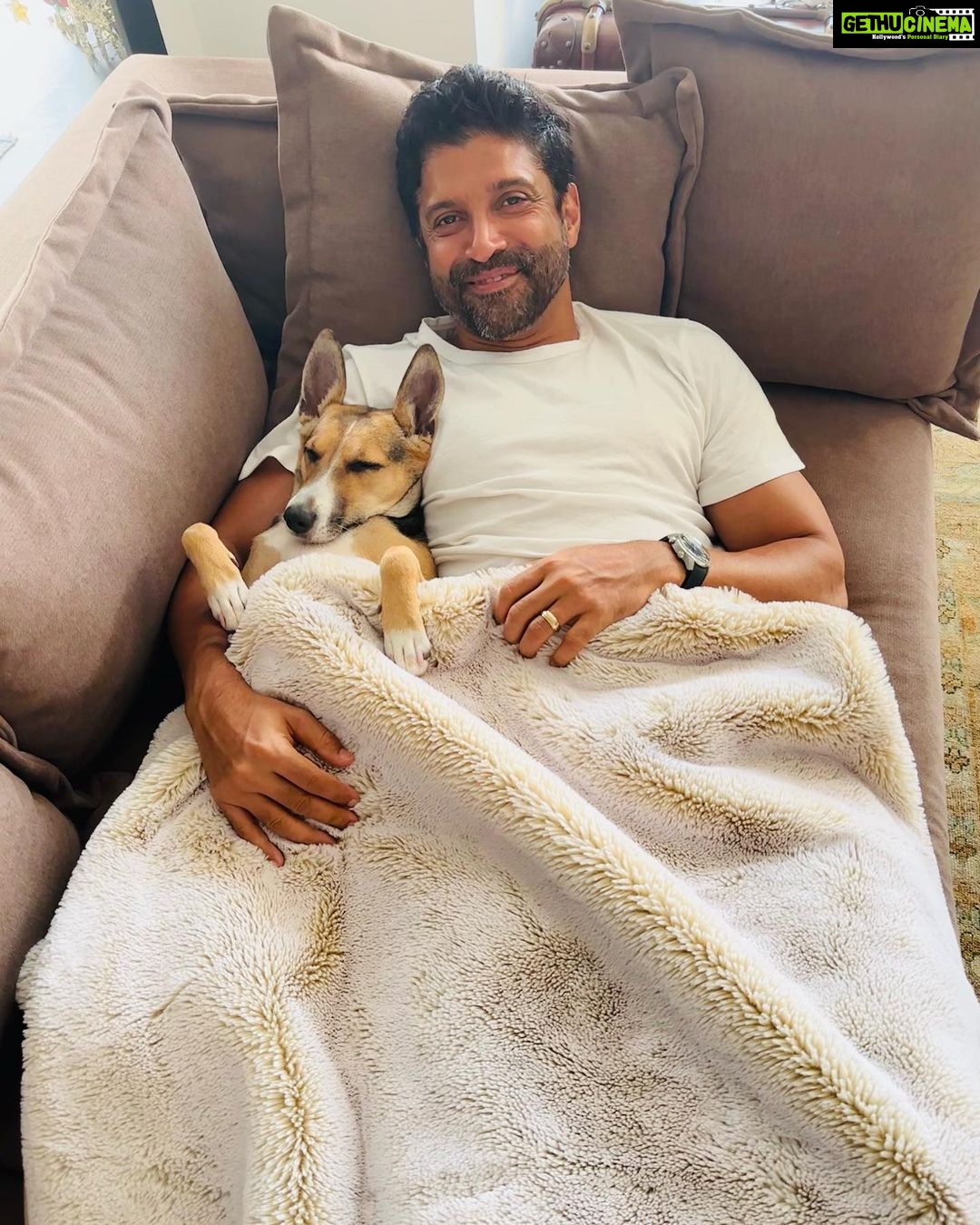 Farhan Akhtar Instagram - Someone is taking Sunday siesta very seriously. 😜 #tystagram #dogsarethebest