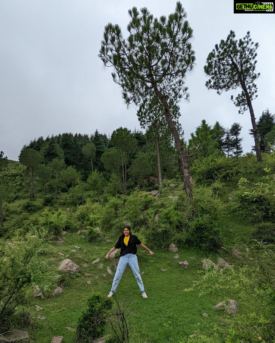 Faria Abdullah Instagram - But loner trees also like other loner trees
