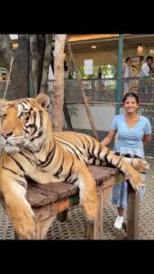 Gabriella Charlton Instagram - Guthikum bodhu varadha bayam Tiger vala pidikum bodhu varudhu😆 Thrilling moment in Thailand 🙈 Full video coming up on #GabriellaCharlton YouTube channel.