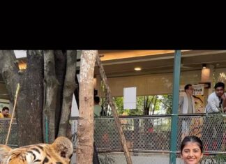 Gabriella Charlton Instagram - Guthikum bodhu varadha bayam Tiger vala pidikum bodhu varudhu😆 Thrilling moment in Thailand 🙈 Full video coming up on #GabriellaCharlton YouTube channel.