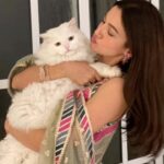 Gauahar Khan Instagram – It’s my jaan’s birthday! My Boy , #SNOW ! ♥️ #bigboy #loveofmylife #4yearsold Ma sha Allah!
#reels #trending #catsofinstagram